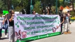 En Puebla, exigen castigo a menores de edad por maltrato animal  