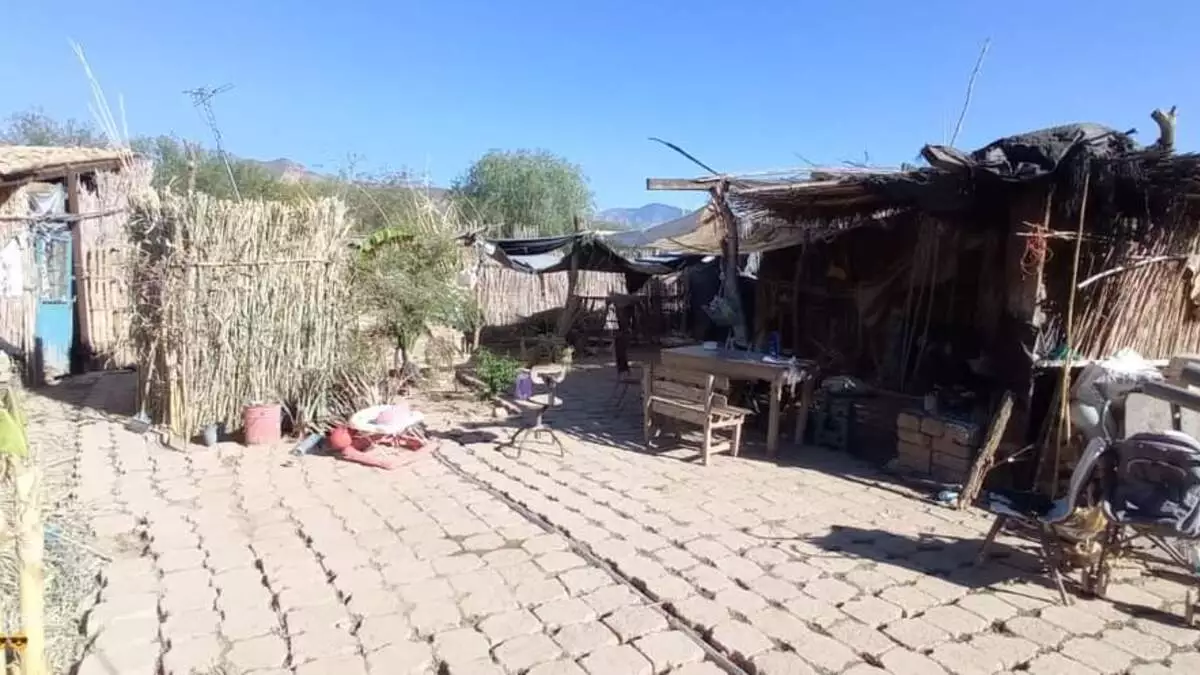 Feminicidio en Ajalpan: Rufina fue asesinada a machetazos por su pareja  