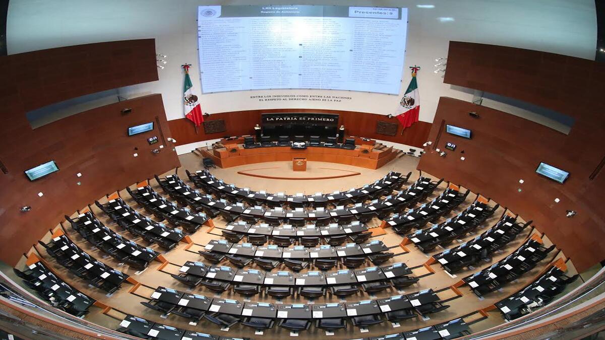 ¿Cuáles son las funciones de los diputados federales y senadores