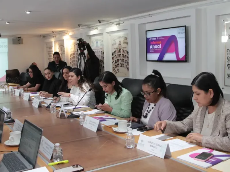 Comparece titular de la Secretaría de Igualdad Sustantiva ante Comisión del Congreso