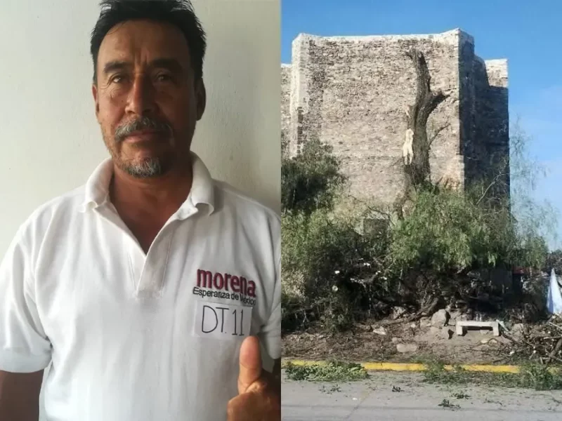 Denuncian ecocidido en exconvento de Totimehuacan, talan árbol con más de 100 años