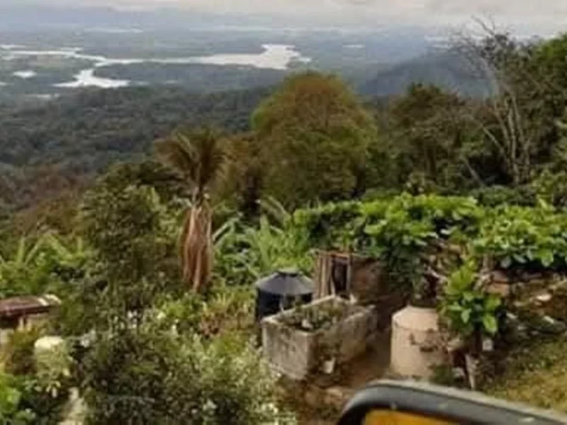 Ejecutan a pareja de esposos en comunidad de San Sebastián Tlacotepec 