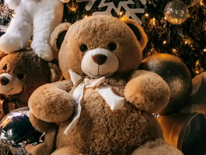 VIDEO: Delincuentes roban oso de peluche gigante en Tehuacán .