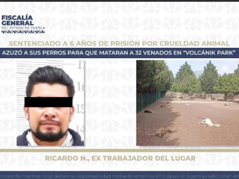 Extrabajador de Volcanic Park pasará 6 años en prisión por matar a 32 venados