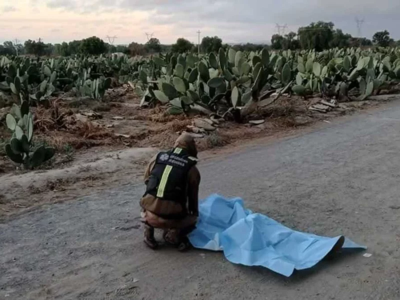 Hallan cuerpo con huellas de violencia en terrenos de cultivo en Felipe Ángeles