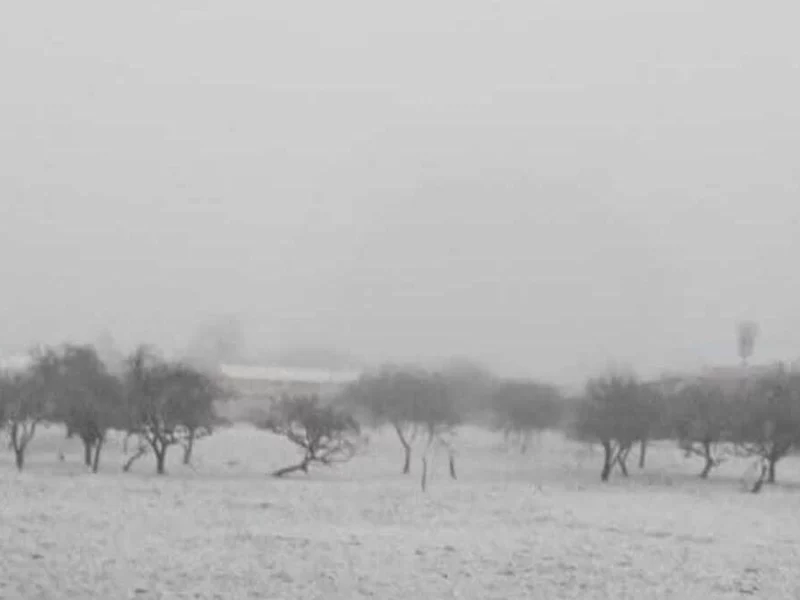 Frente frío provoca temperaturas de -1°, heladas y suspensión de clases en Puebla  