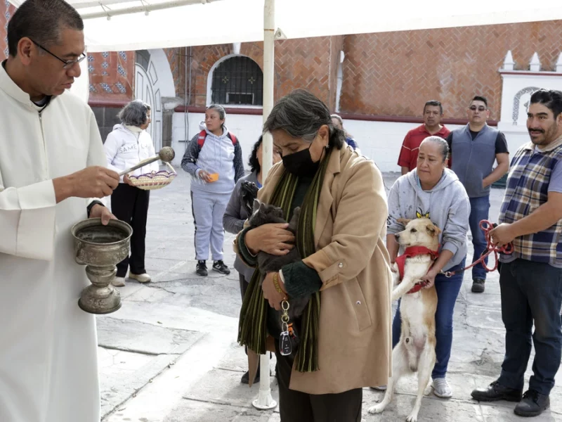 ¿Dónde habrá bendición de mascotas en Puebla por el día de San Antonio Abad?