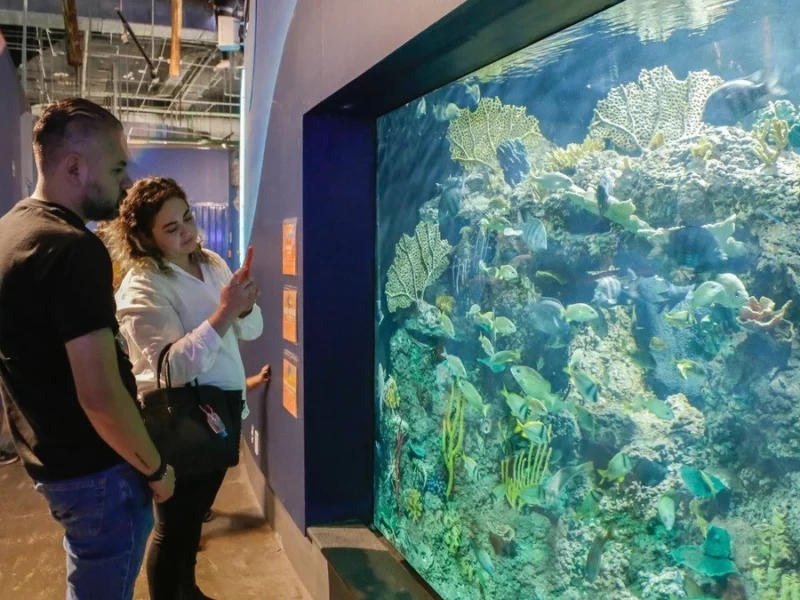 ¡Solo para enamorados! Disfruta una cena romántica en el Acuario Michin
