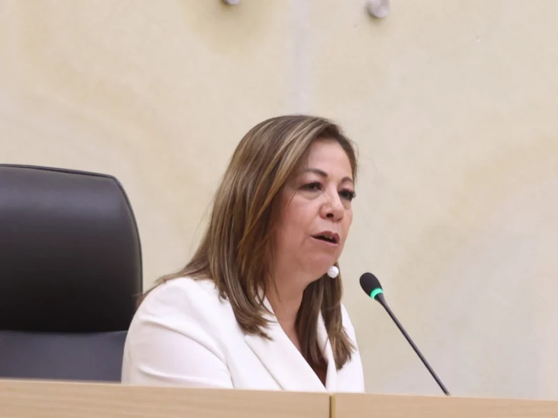 Laura Artemisa va contra el nepotismo y la reelección desde el 2027