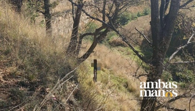 Este 24 de febrero, hallaron colgado de un árbol a Pedro Miguel, presunto feminicida de Daniela Alejandra.