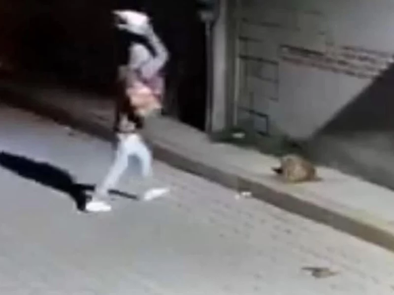 Detienen al agresor del perrito “Huesitos” en Santiago Miahuatlán