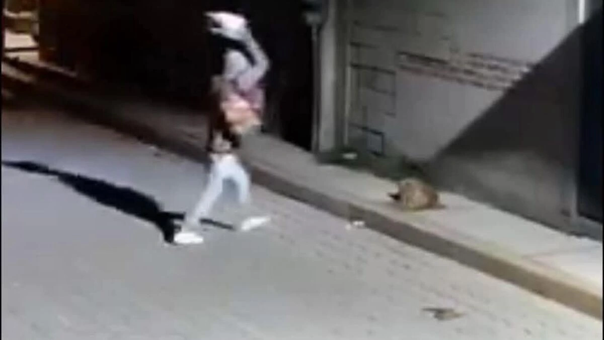 Detienen al agresor del perrito “Huesitos” en Santiago Miahuatlán