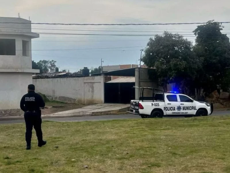 VIDEO: Surge otro caso de maltrato animal en Coronango: lanzan a cachorros con una pala