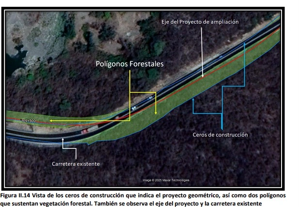 La carretera en la Mixteca afectará vegetación que no está en área natural protegida.