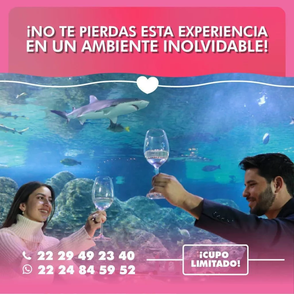 ¡Una idea perfecta para los enamorados! Disfruta una cena romántica a la luz de las velas en el Acuario Michin por San Valentín.