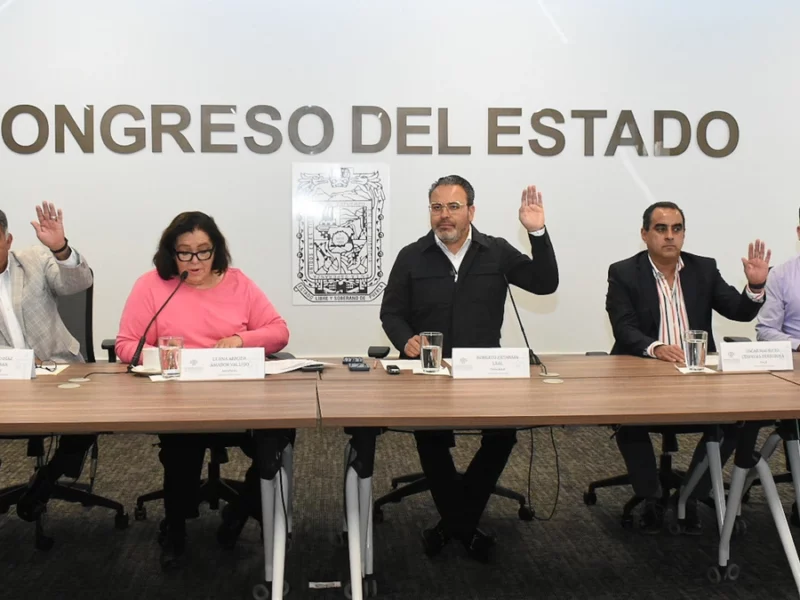 Comisión de Derechos Humanos del Congreso aprueba 13 perfiles para formar Consejo Consultivo  