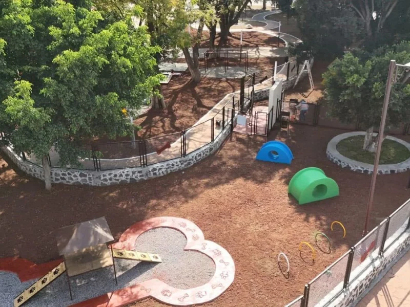 ¡Lleva a tus perritos! Atlixco estrena su primer parque para mascotas  