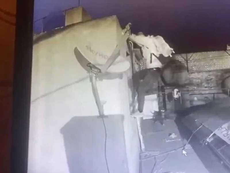 VIDEO: Perrito frustra robo en el fraccionamiento San Francisco de Puebla
