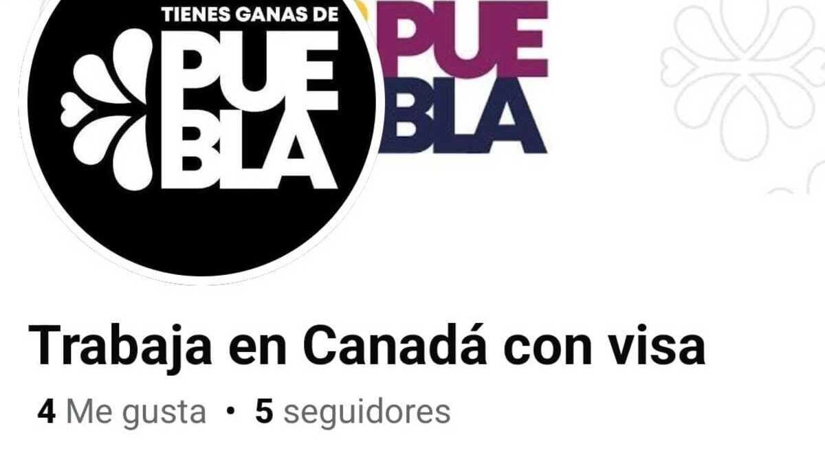 Estas páginas ofrecen en Puebla trabajos falsos en Canadá y Estados Unidos  