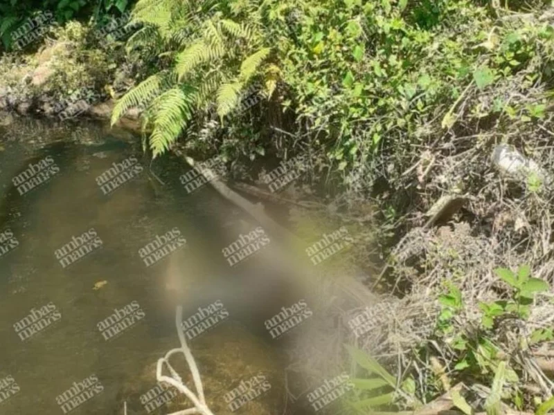 Niños encuentran cadáver flotando en río de Hueytamalco