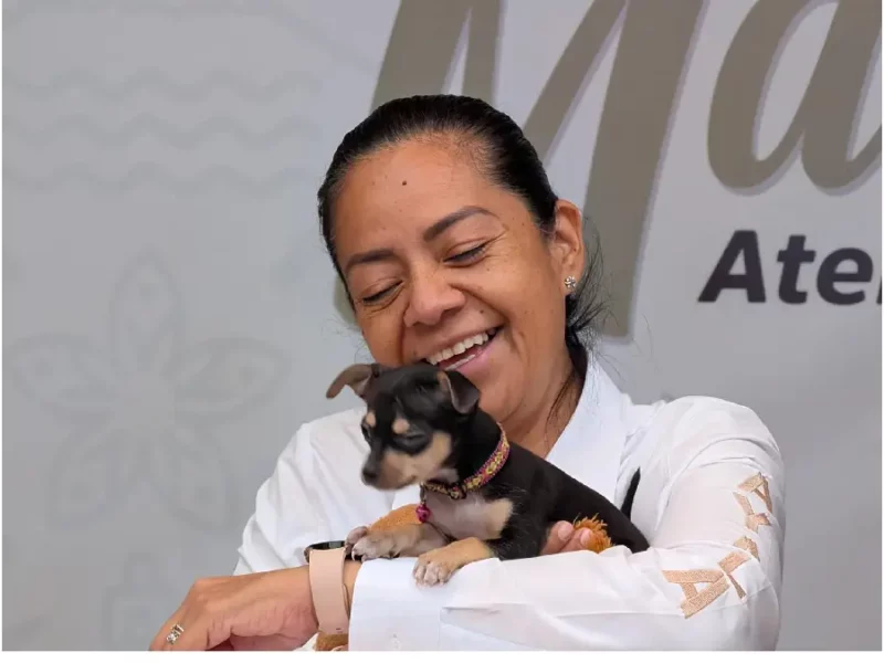 Ariadna Ayala impulsa cuidado de lomitos con jornadas de esterilización en Atlixco
