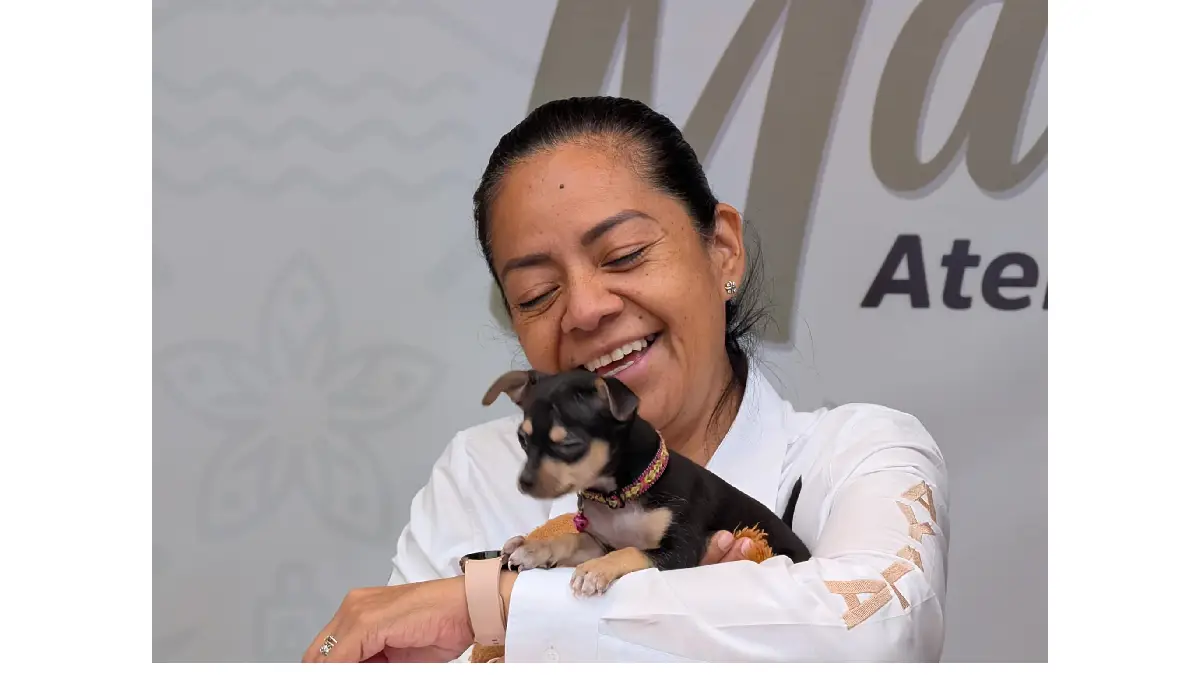 Ariadna Ayala impulsa cuidado de lomitos con jornadas de esterilización en Atlixco