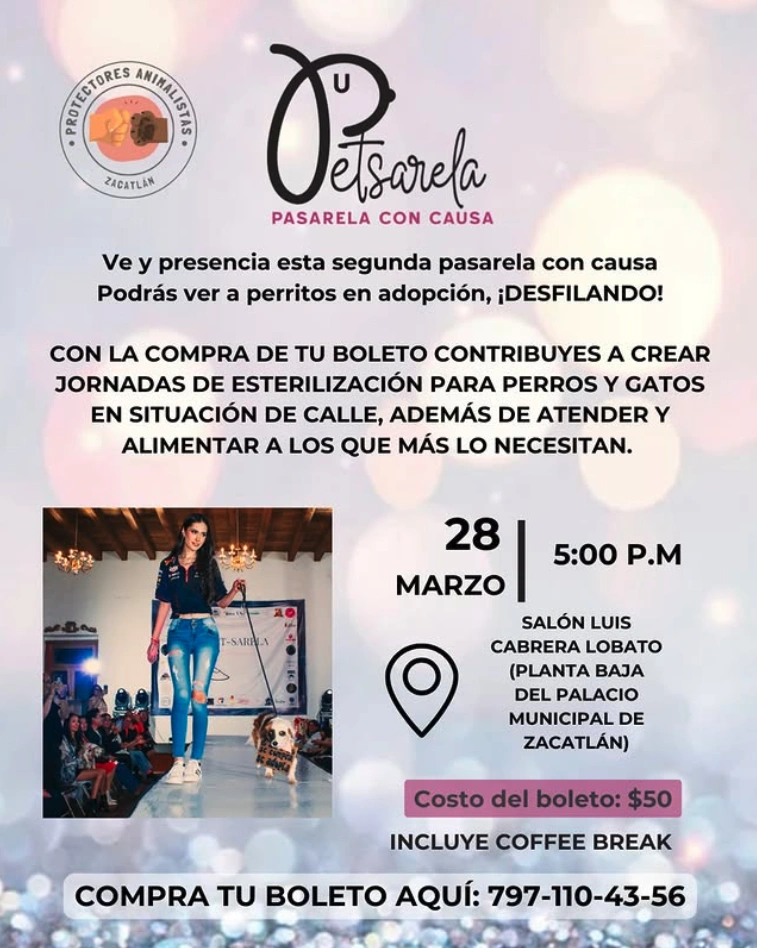En "Ser mujer, es mucho más que esto", se invita a la pet-pasarela en Zacatlán.