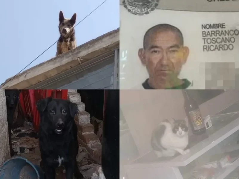 Olor fétido y moscas, así encontraron a Ricardo Barranco sin vida en San José Los Cerritos.