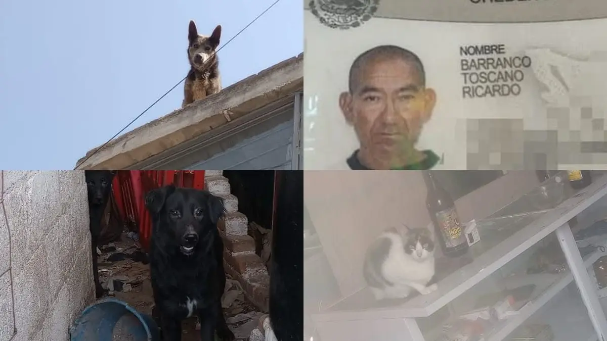 Olor fétido y moscas, así encontraron a Ricardo Barranco sin vida en San José Los Cerritos.