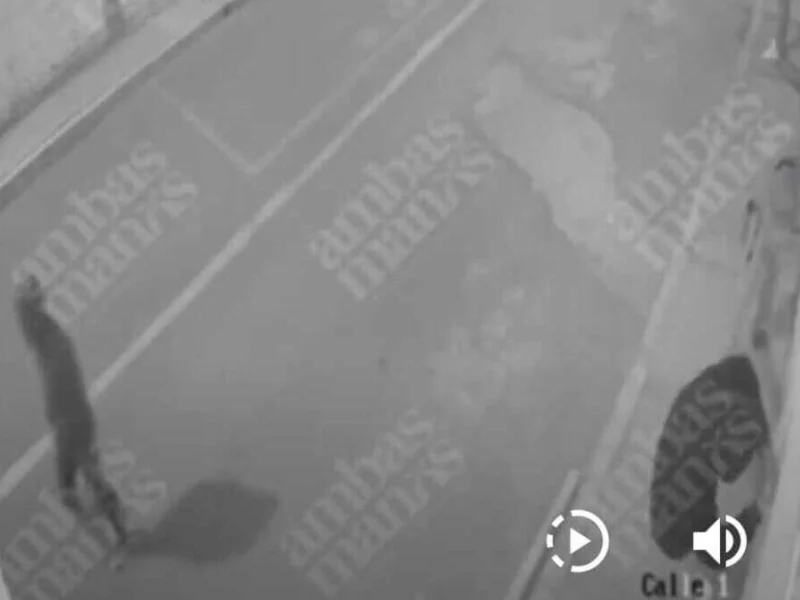 VIDEO: Delincuentes fuerzan cerraduras para entrar a robar una casa en  Santa Cruz Guadalupe 