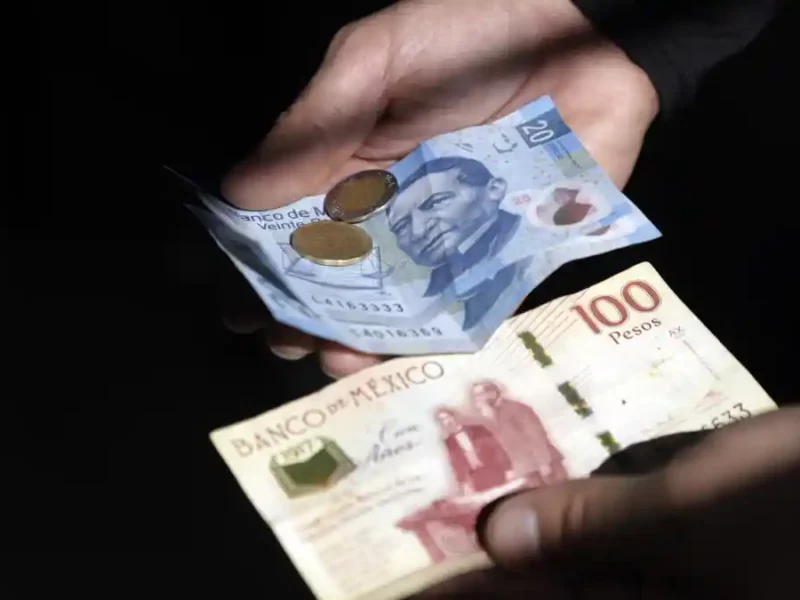 Violencia económica y desigualdad de género: El desafío que enfrentan las mujeres en México.