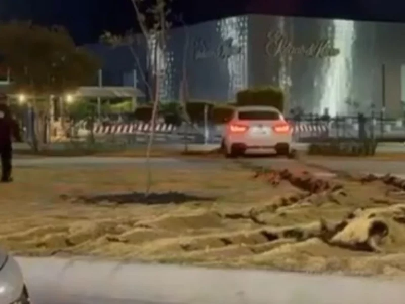 Por evitar el alcoholímetro, conductor de una BMW destroza área verde en Angelópolis
