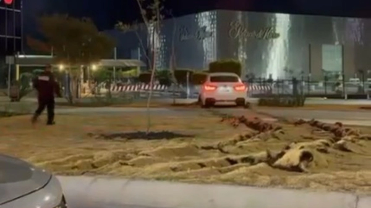 Por evitar el alcoholímetro, conductor de una BMW destroza área verde en Angelópolis