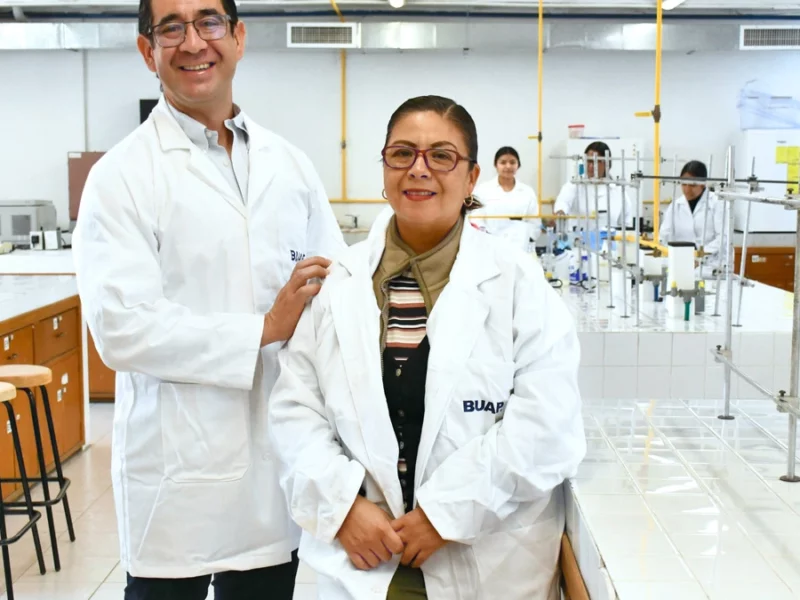 Desarrollan alimentos con subproductos agroindustriales para mejorar la microbiota intestinal