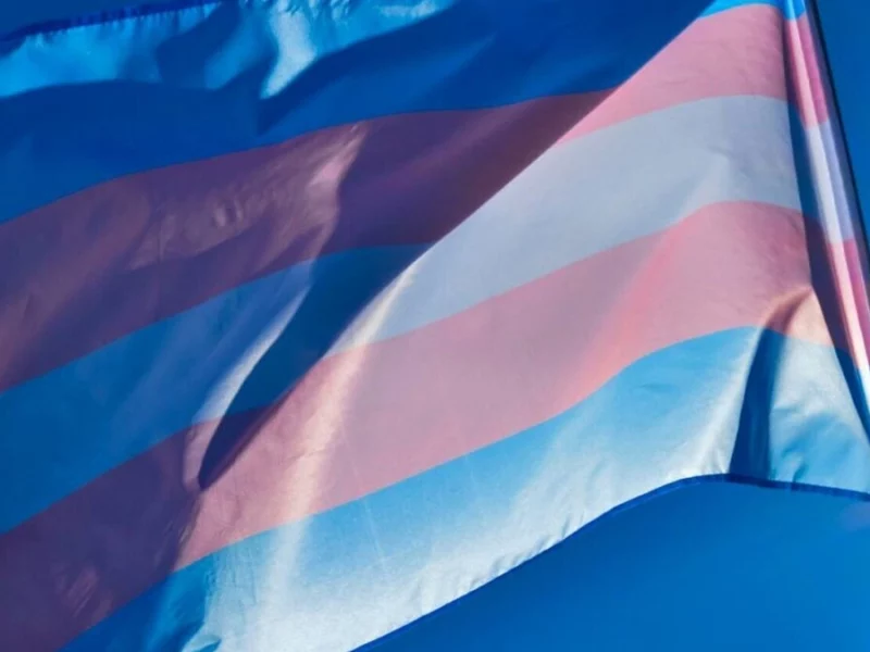 Congreso de Puebla se prepara para legislar sobre las infancias trans