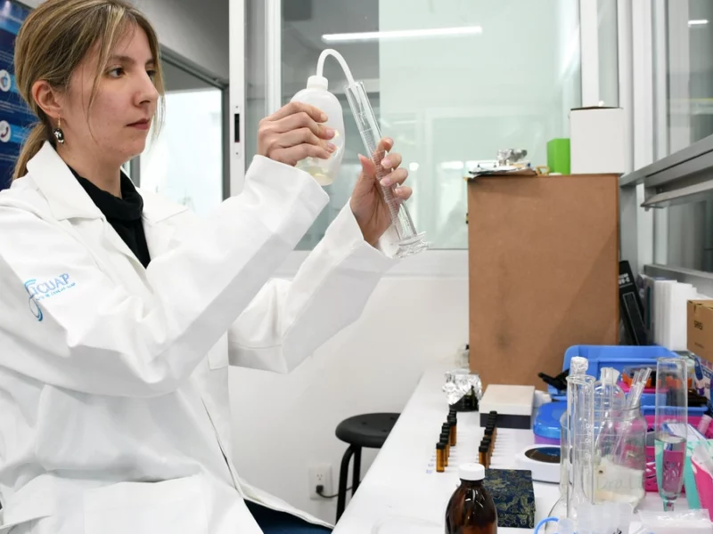Analizan la acumulación de micro y nanoplásticos en modelos animales