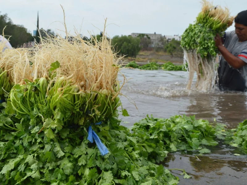 Advierten a productores agroindustriales sobre fraudes en Tlahuapan 