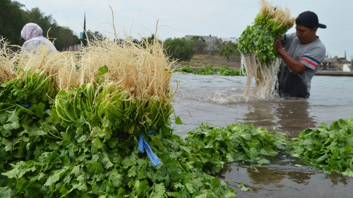 Advierten a productores agroindustriales sobre fraudes en Tlahuapan 