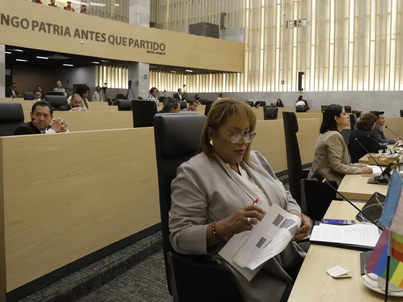 IEE ratifica proceso por el que nombraron a Gaby Chumacero diputada local