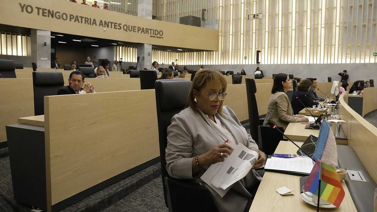 IEE ratifica proceso por el que nombraron a Gaby Chumacero diputada local