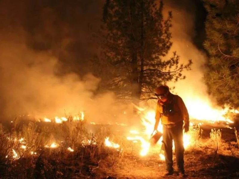 Gobernador pide a la Fiscalía de Puebla actuar contra quienes provocan incendios forestales 