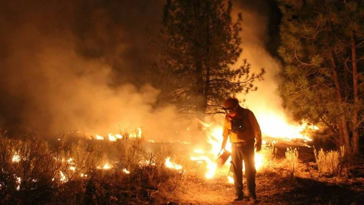 Gobernador pide a la Fiscalía de Puebla actuar contra quienes provocan incendios forestales 