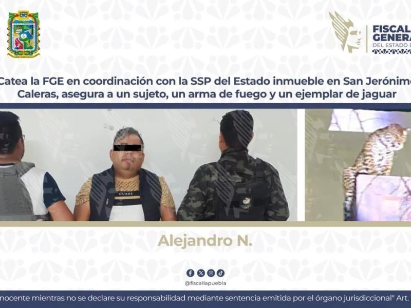 FGE catea inmueble en San Jerónimo Caleras y encuentra un jaguar