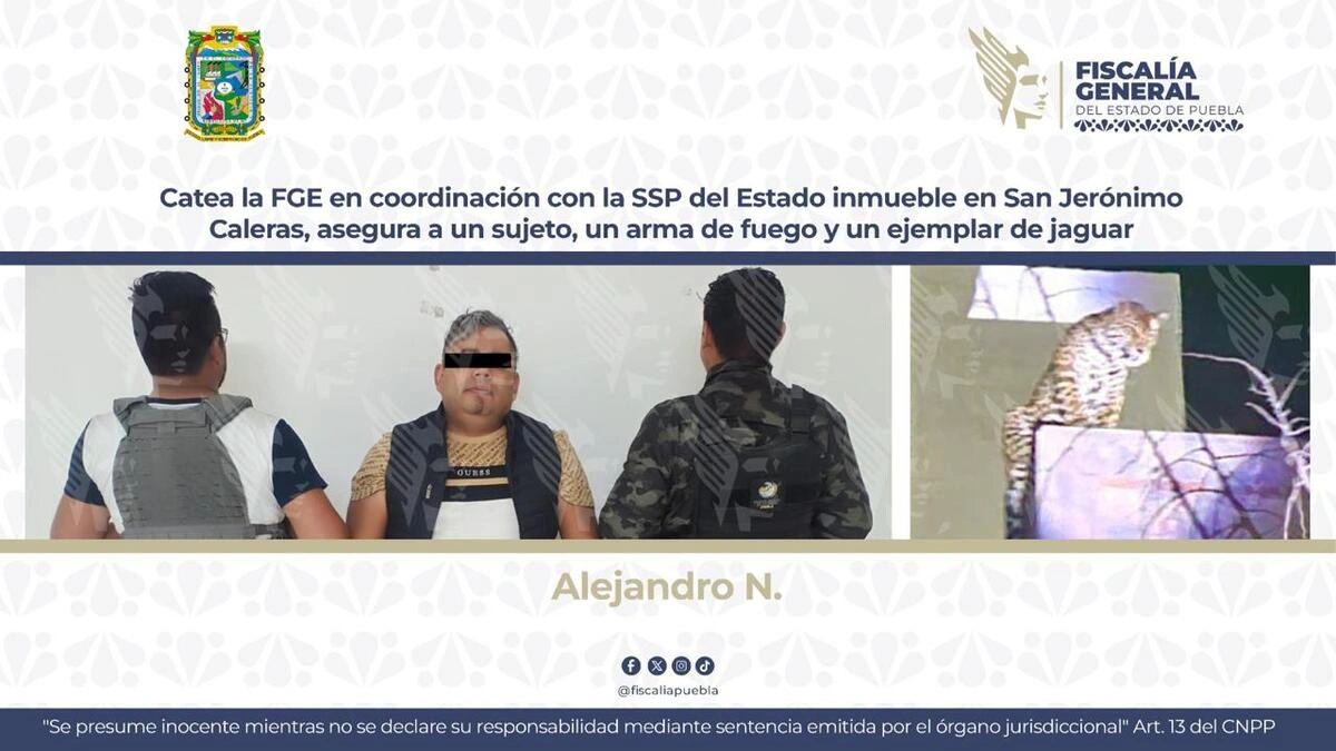 FGE catea inmueble en San Jerónimo Caleras y encuentra un jaguar