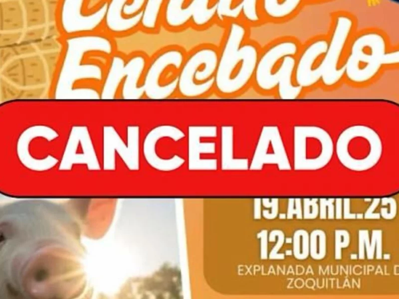 Cancelan el “Cerdito Encebado” en Zoquitlán por maltrato animal  