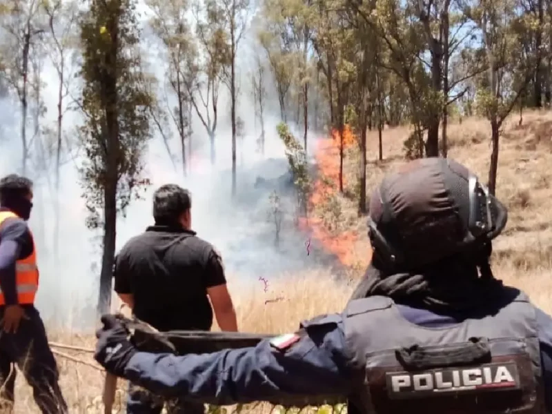 Policía y Bomberos de Cholula sofocan más de 20 incendios en el cerro zapotecas