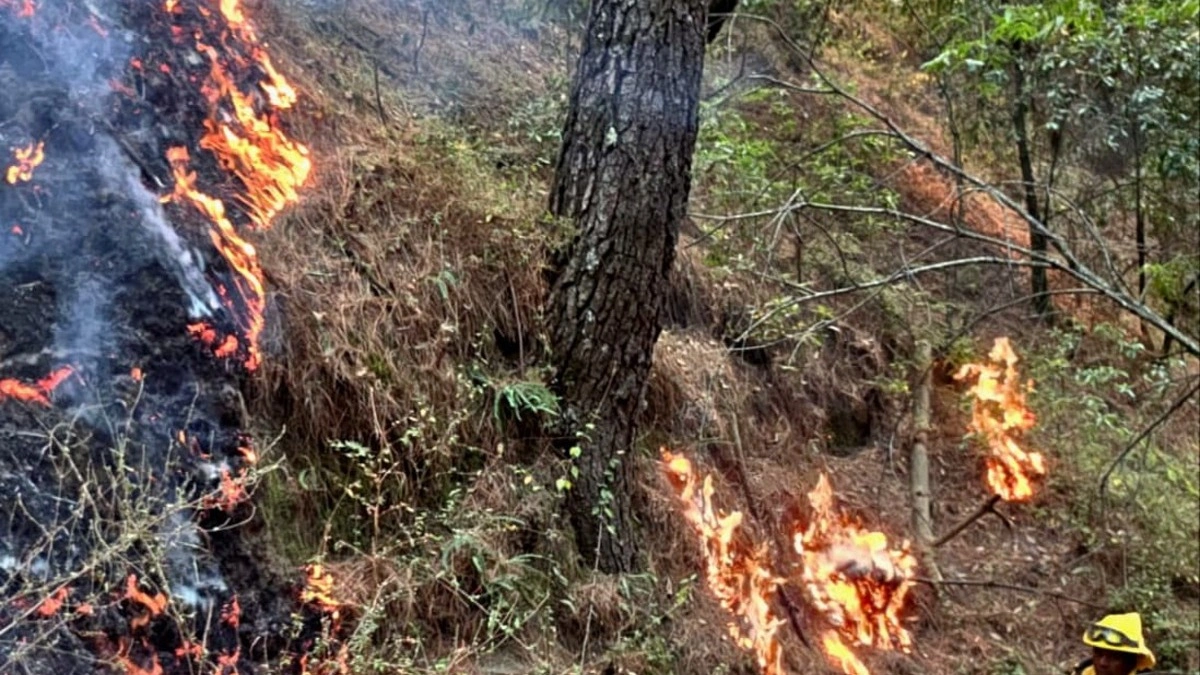 SSP detiene a dos ecocidas por provocar incendios forestales en Puebla  