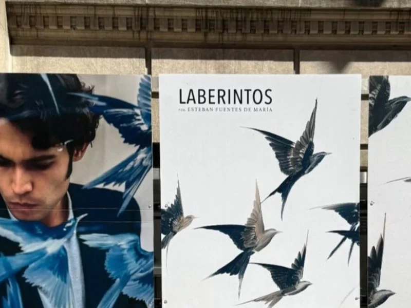 Instituto Cultural Mexicano de NY elimina publicaciones del expo de Fuentes de María