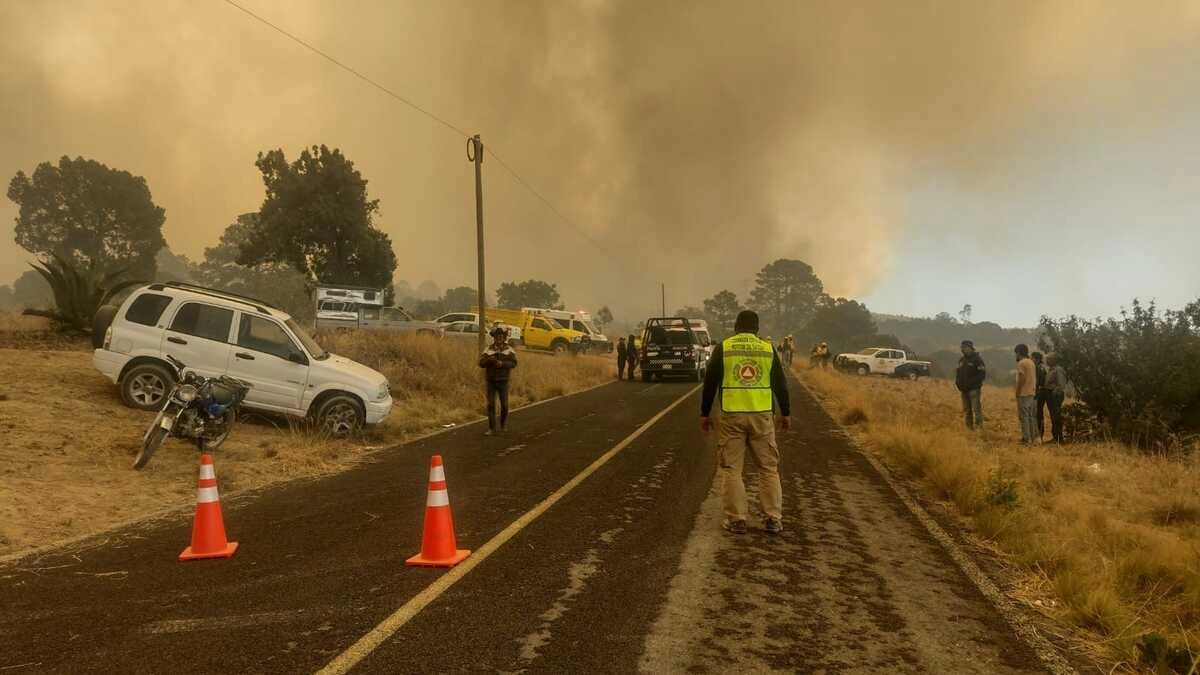 FOTOS: Fuerte incendio en los límites de Puebla y Tlaxcala arrasa con hectáreas de bosque