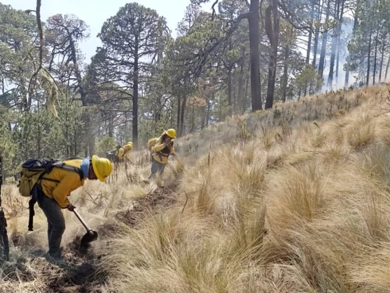 Liquidan incendio forestal en Libres; duró más de 100 horas activo  